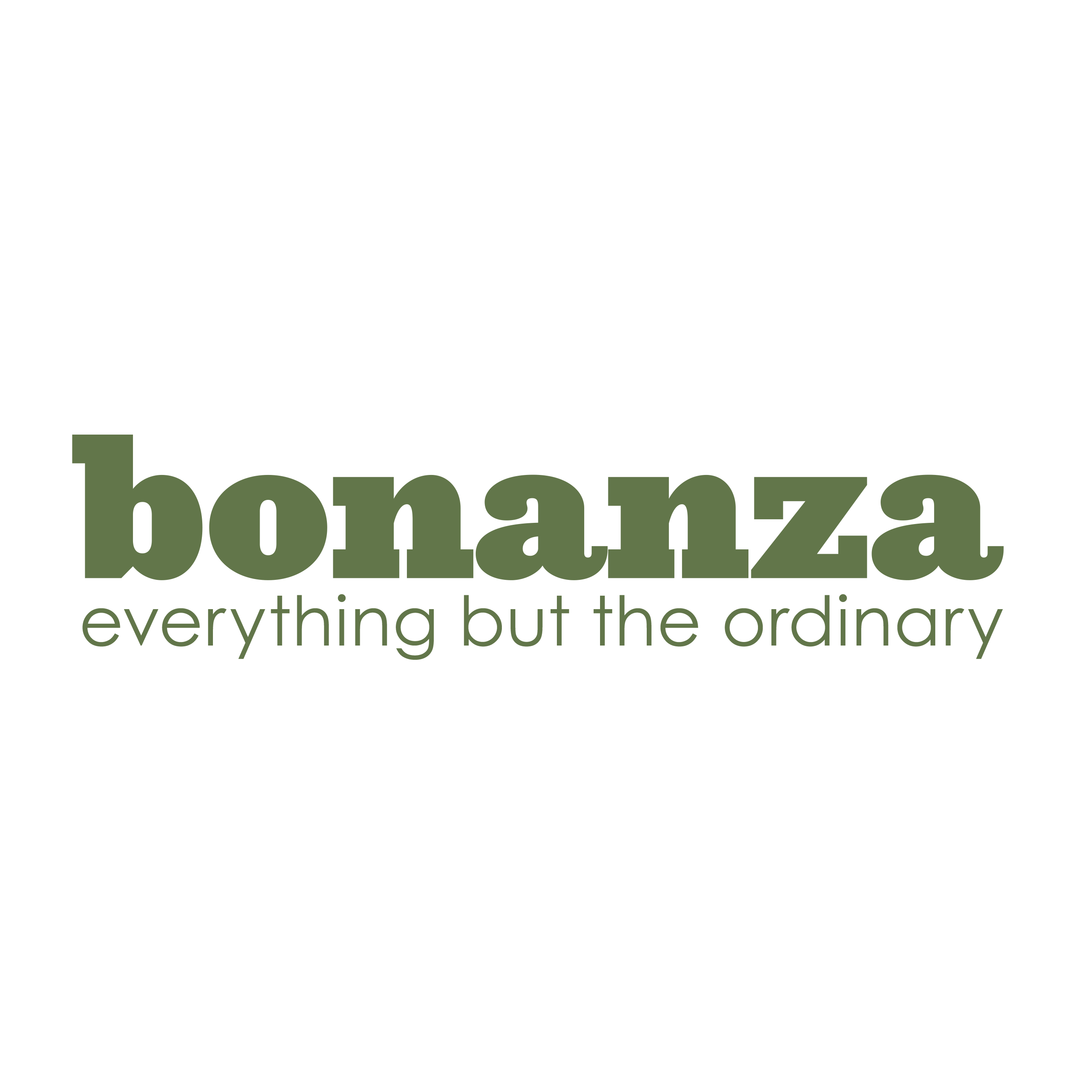 Bonanza codici sconto