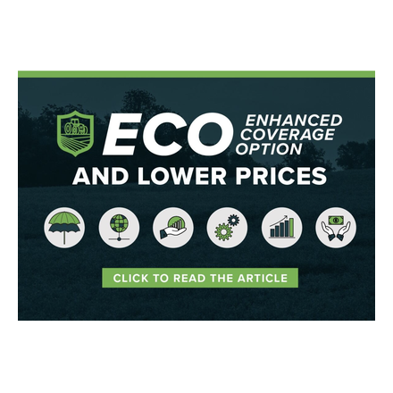Eco Price codici sconto